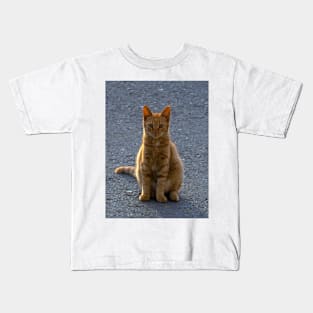 Sun-Kissed Feline: A Ginger Cat Enjoys the Outdoors Kids T-Shirt